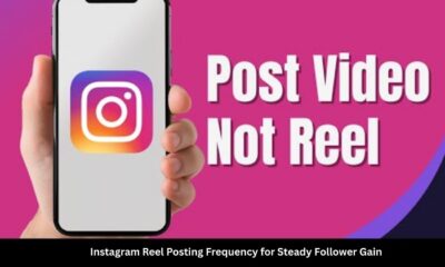 Instagram Reel Posting Frequency for Steady Follower Gain