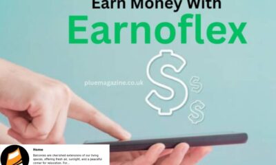 Earnoflex